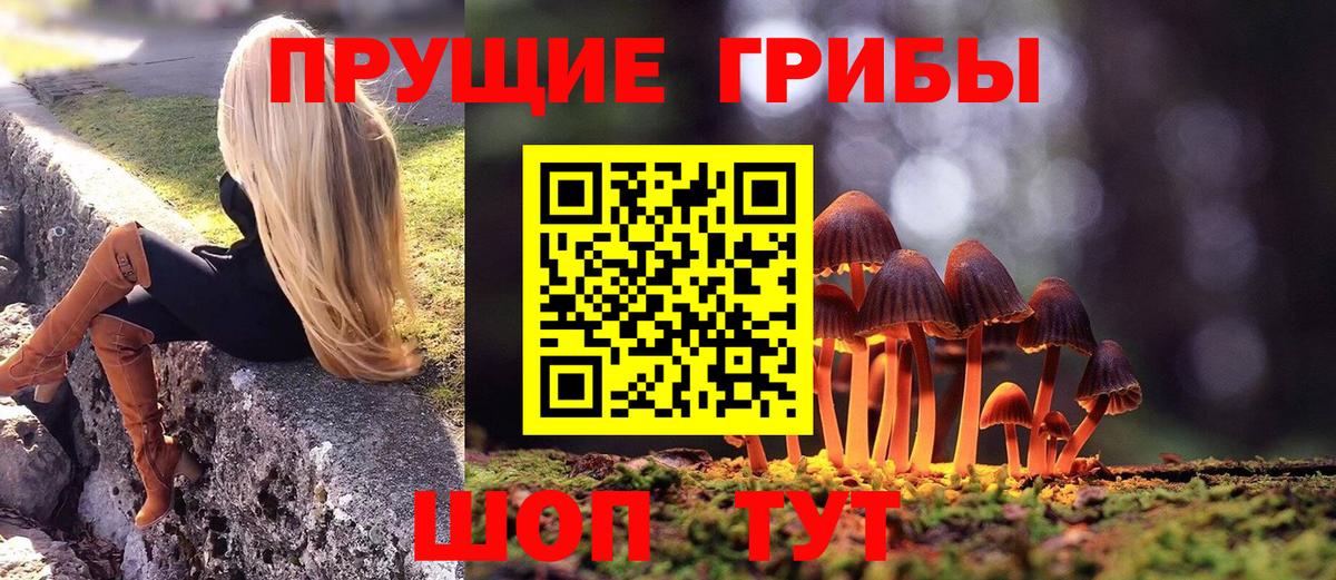 Галлюциногенные грибы MAGIC MUSHROOMS Елец