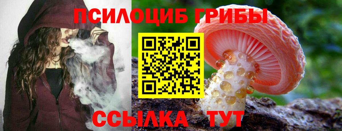 Елец  Псилоцибиновые грибы MAGIC MUSHROOMS  Вход с VPN  Псилоцибиновые грибы мицелий 